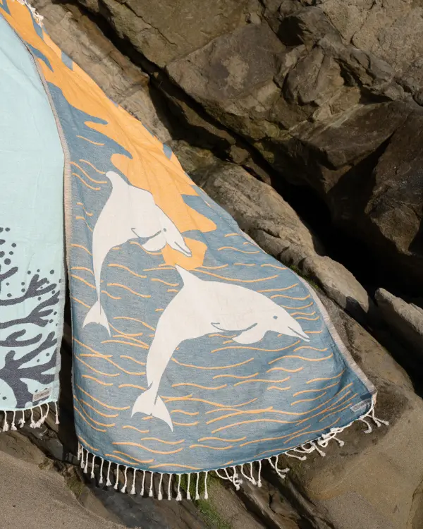 SoCal Dolphin | Sand Cloud - Image 2